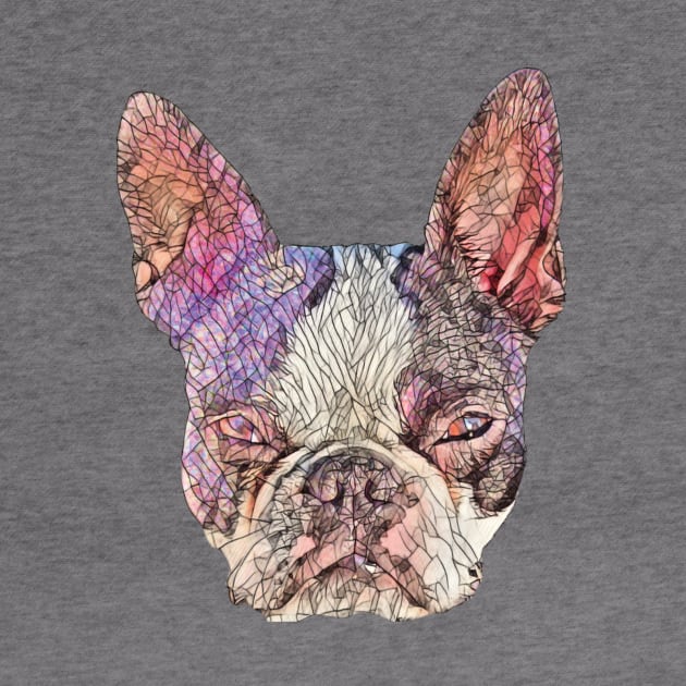 Boston Terrier by DoggyStyles